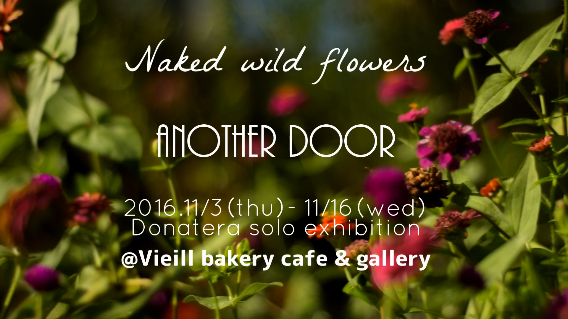 PV『Donatera 個展”Naked wild flowers ~another door~”』
